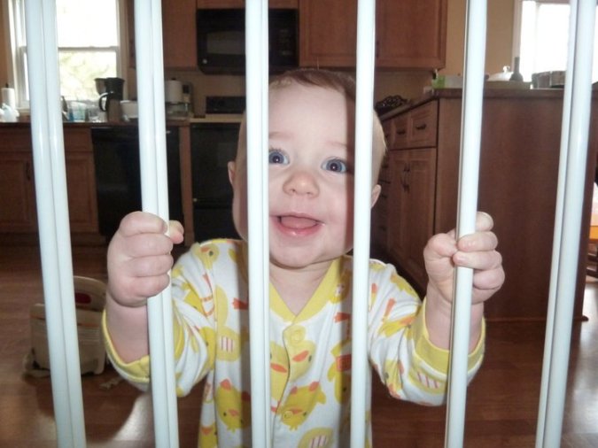 198855_10150124008738781_3583982_n