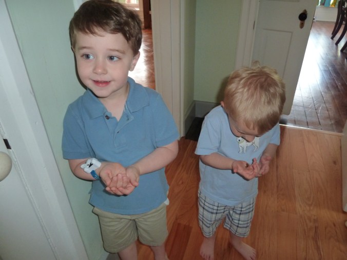 "I wanna hold a queen dead bee!"