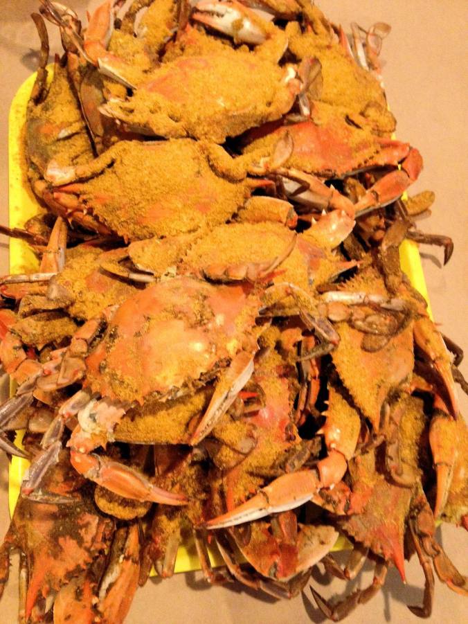 10379750_10203296504227400_6977436985384357358_o