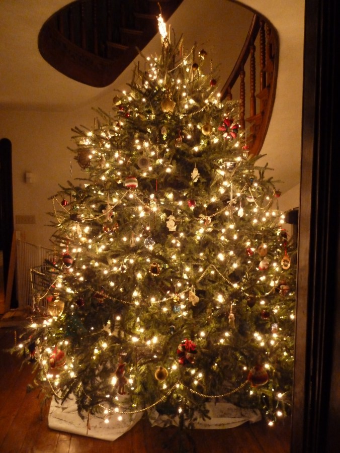 I took so few Christmas tree pics this year that I'm resorting to showing you one with a shower curtain sticking out from below it. (Makes for a practical tree skirt!)