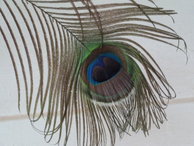 These Walls - I Love You So Much and So Much {phfr} - 5