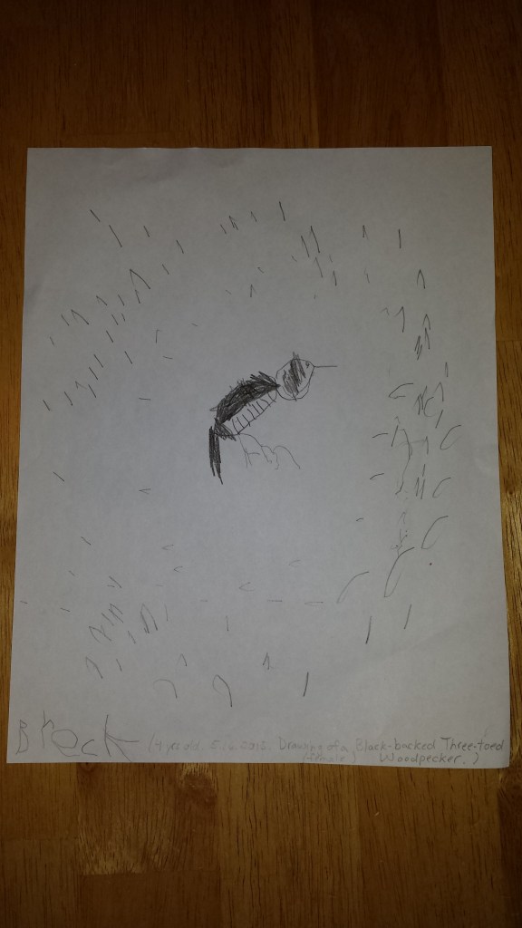 These Walls - I Love You So Much and So Much {phfr} - 9