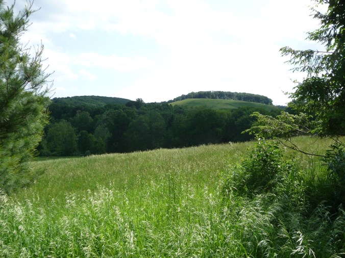 These Walls - Seeking Home - 1