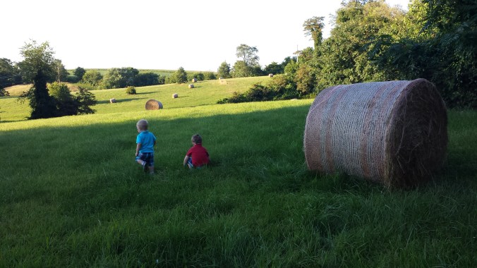 These Walls - Seeking Home - 7