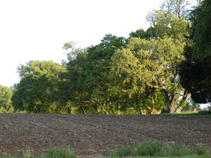 These Walls - Seeking Home - 2