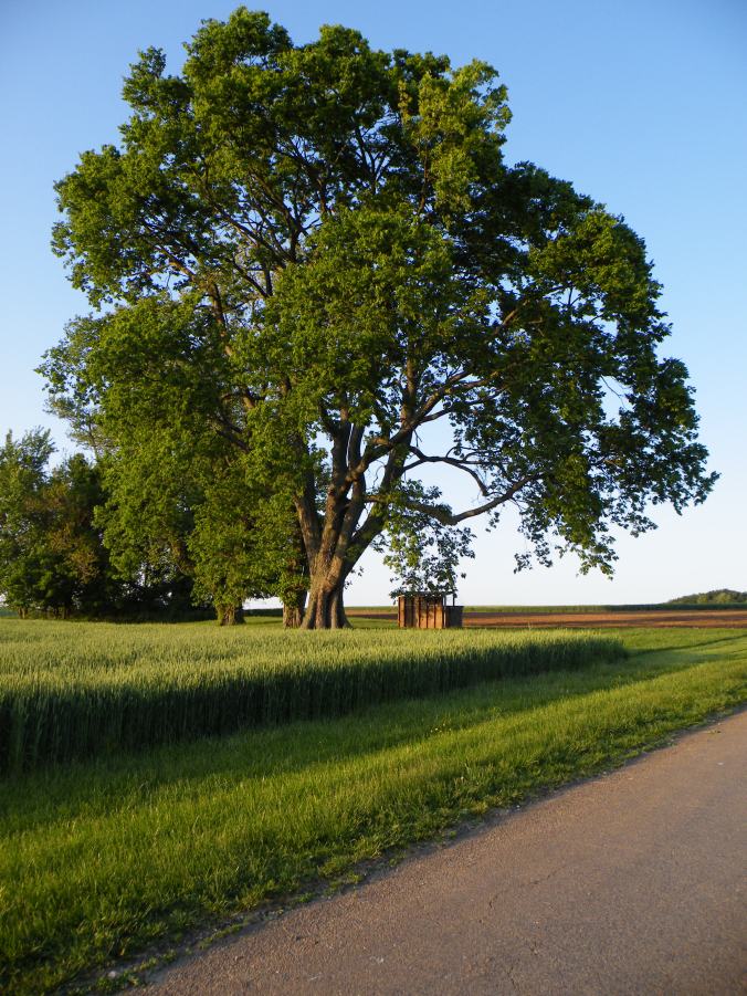 These Walls - Seeking Home - 3