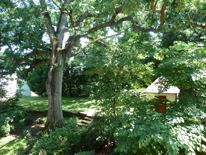 These Walls - Seeking Home - 8