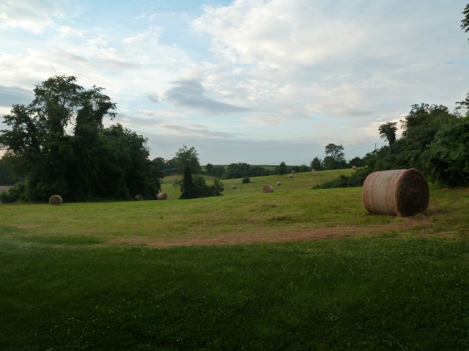 These Walls - Seeking Home - 6