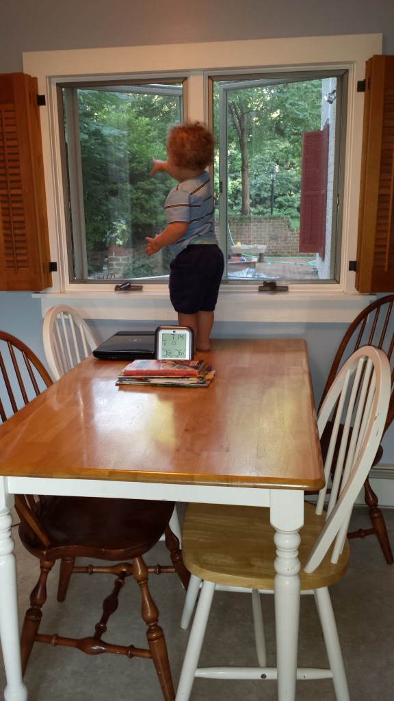 These Walls - 7QT33: A Mash-Up of Weddings, (Not) Delightful Baby Phases, and a Possibly Rabid Fox - 3