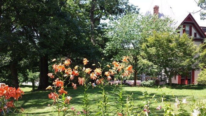 These Walls - PHFR19 - 1