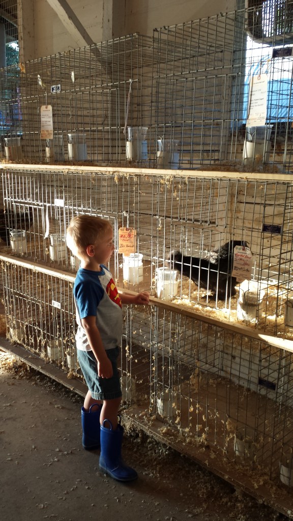 These Walls - Lately - 8