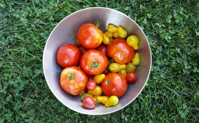 These Walls - I Want It All - 1