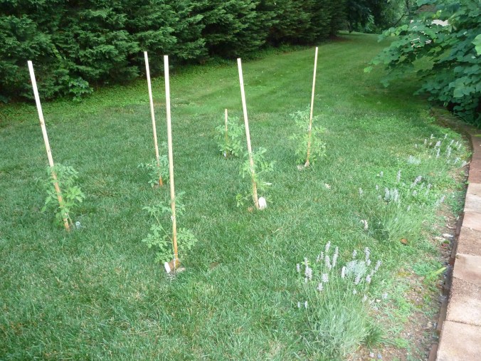 These Walls - I Want It All - 5