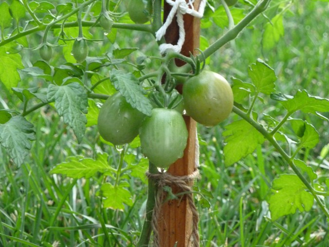 These Walls - I Want It All - 3