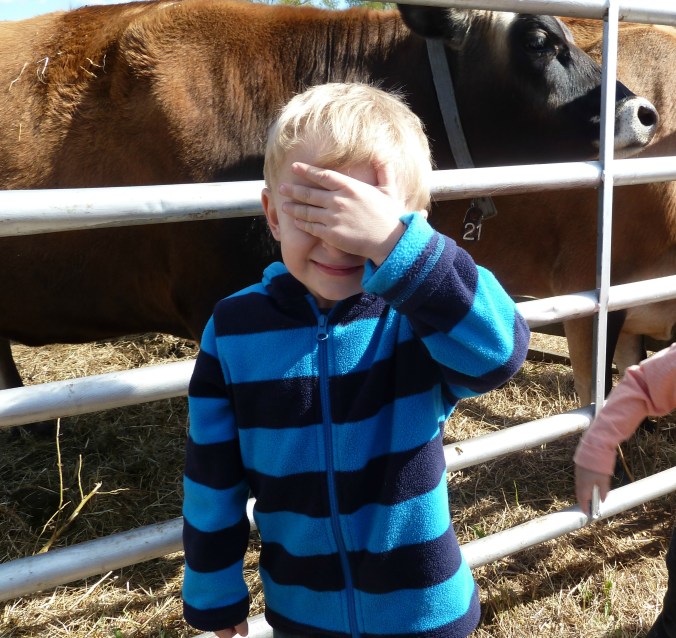 These Walls - Frenzy Grace Repeat - 4