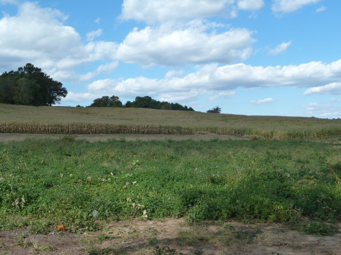 These Walls - Frenzy Grace Repeat - 9