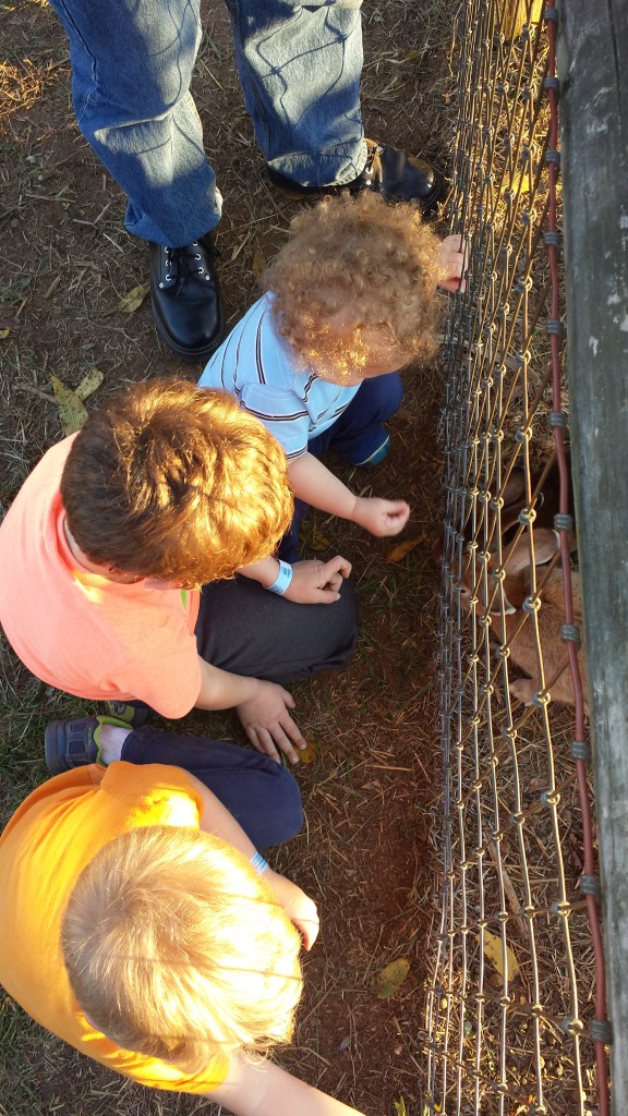 These Walls - Frenzy Grace Repeat - 2