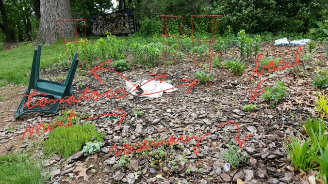 These Walls - Sunday Coffee - 3