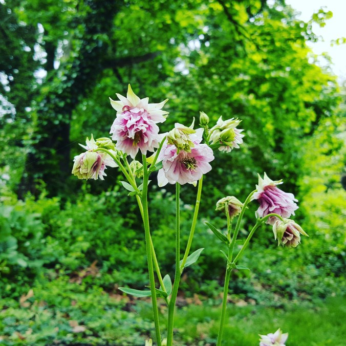 These Walls - The Unexpected Blessing of Social Media - 2