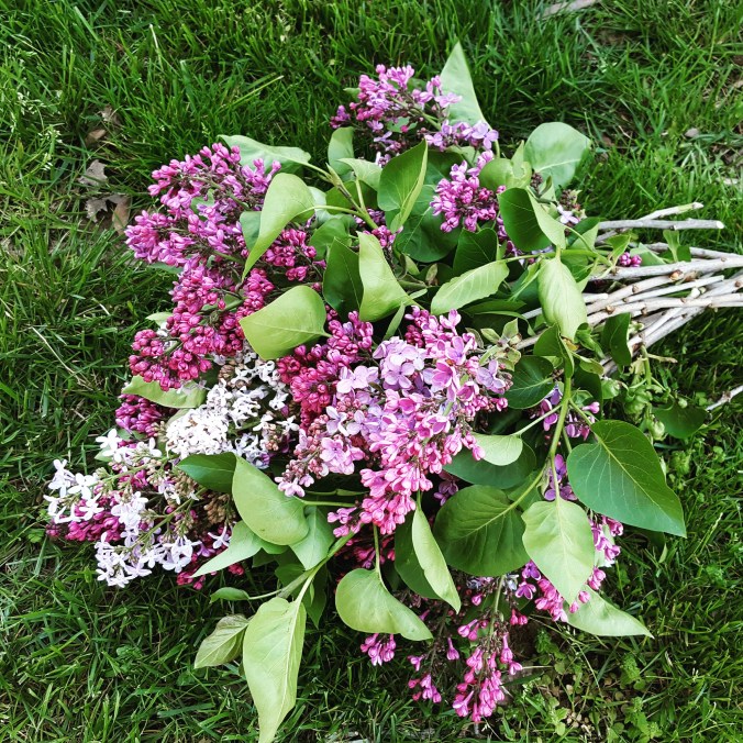 These Walls - Intro to My Instagram phfr20 - 6