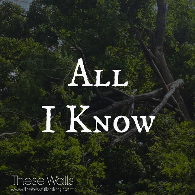 These Walls - All I Know