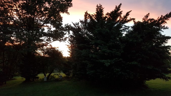 These Walls - Always Starting Never Ending - 4