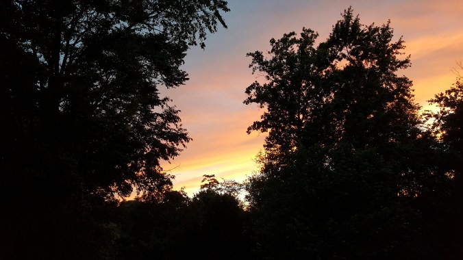 These Walls - Always Starting Never Ending - 3