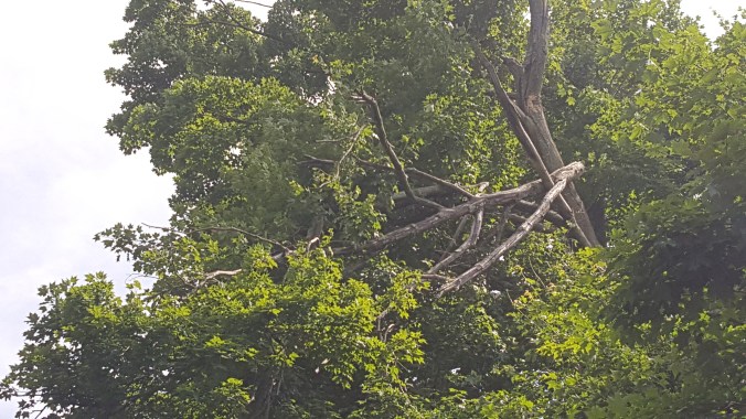 These Walls - All I Know - 1