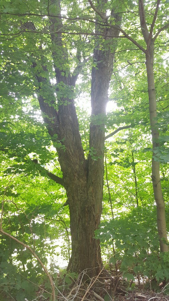 These Walls - All I Know - 2