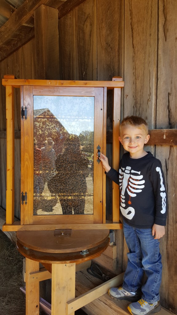 These Walls - Snapshot Not Saturday - Fits and Spurts - 4