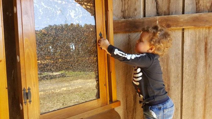 These Walls - Snapshot Not Saturday - Fits and Spurts - 5