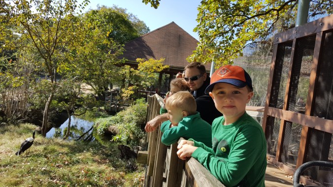 These Walls - Snapshot Not Saturday - Fits and Spurts - 9