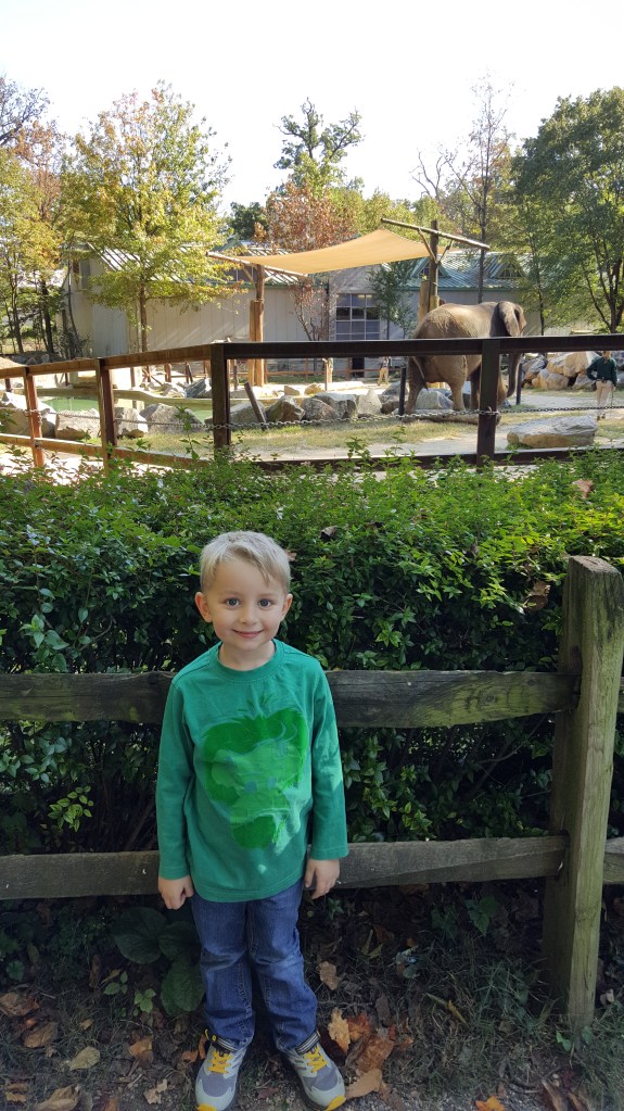 These Walls - Snapshot Not Saturday - Fits and Spurts - 11