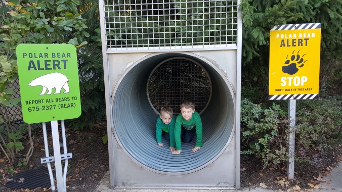 These Walls - Snapshot Not Saturday - Fits and Spurts - 12