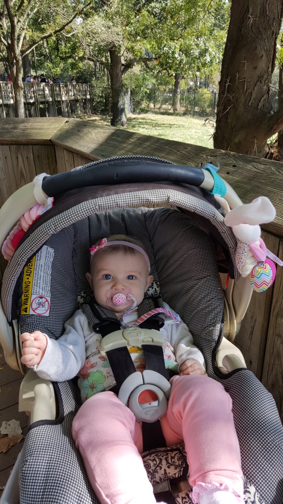 These Walls - Snapshot Not Saturday - Fits and Spurts - 15