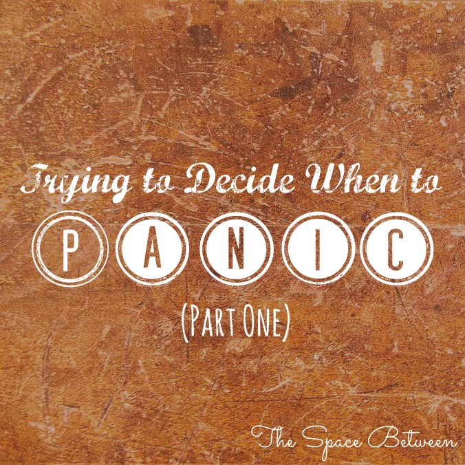 the-space-between-trying-to-decide-when-to-panic-part-one