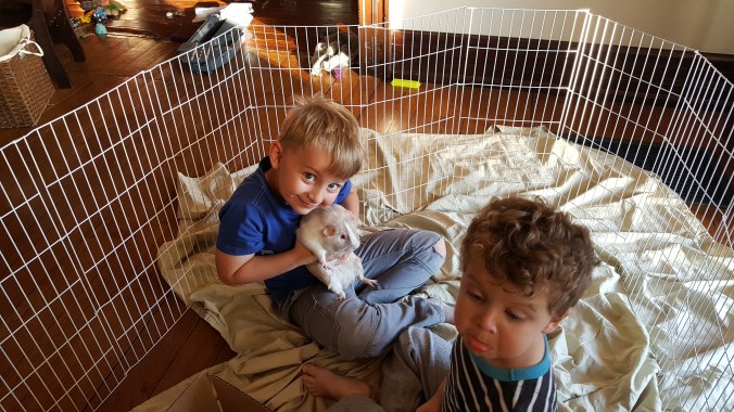 These Walls - 7QT45 - 9