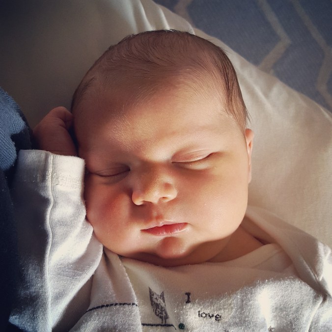 These Walls - A Newish Addition - 5