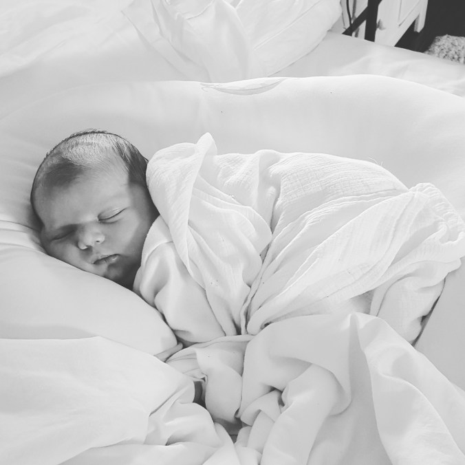 These Walls - A Newish Addition - 7