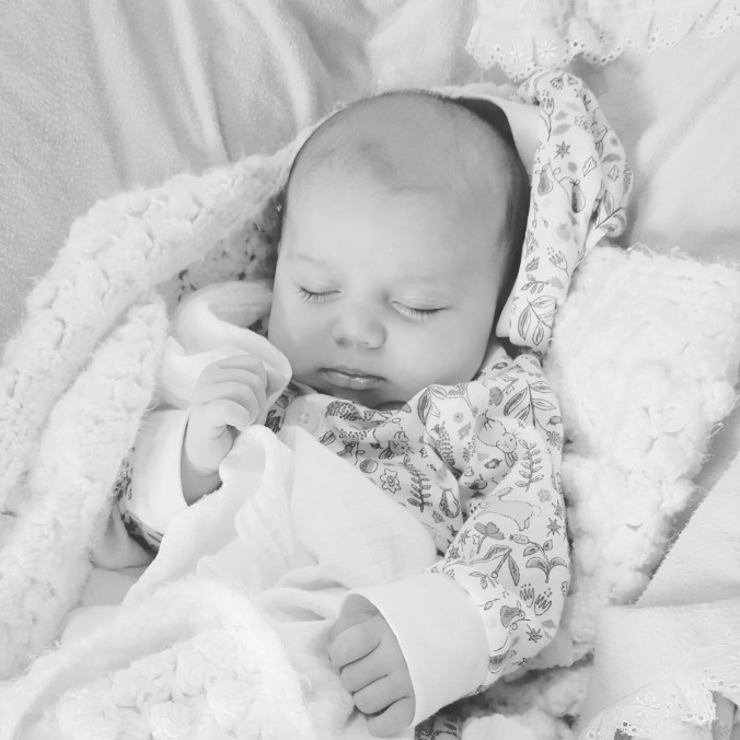 These Walls - A Newish Addition - 13