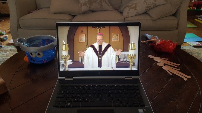 Picture of Bishop Barron celebrating Mass