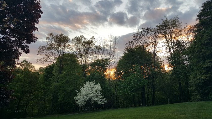 Photo of sky in evening